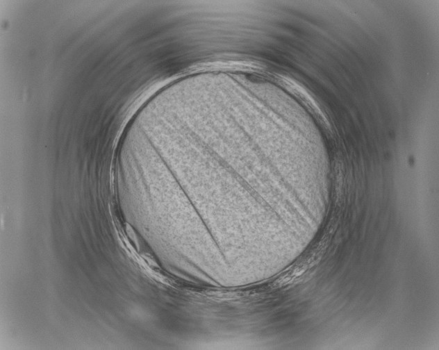 X0000060550852200511241223