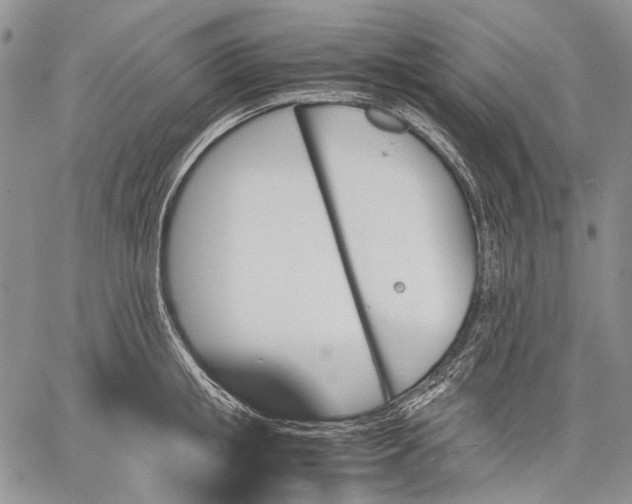 X0000060550853200511241223