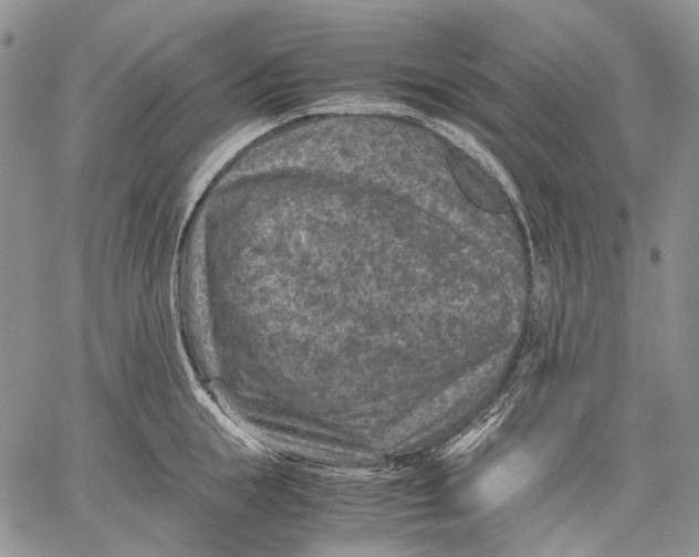 X0000060550855200511241223