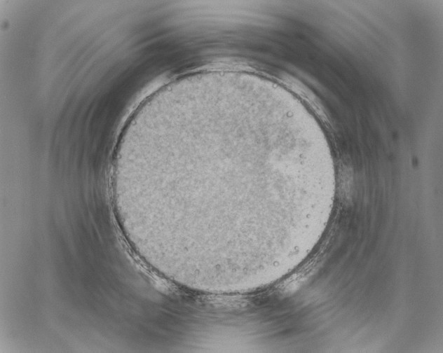 X0000060550856200511241223