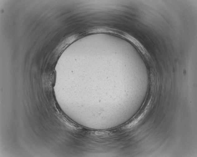 X0000060550857200511241223