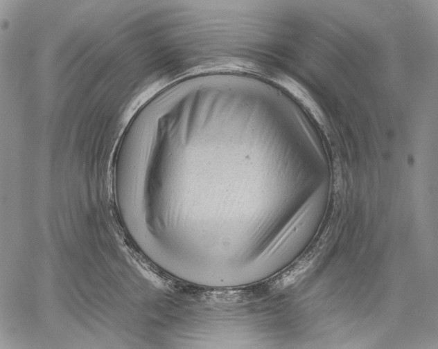 X0000060550858200511241223