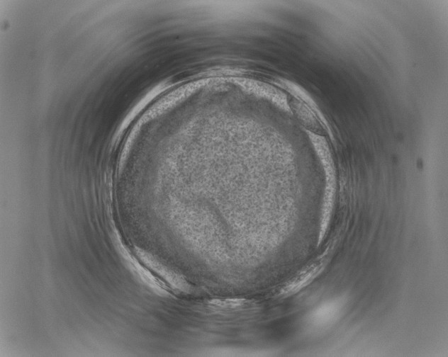 X0000060550859200511241223