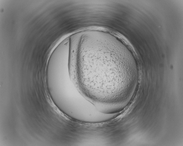 X0000060550860200511241223