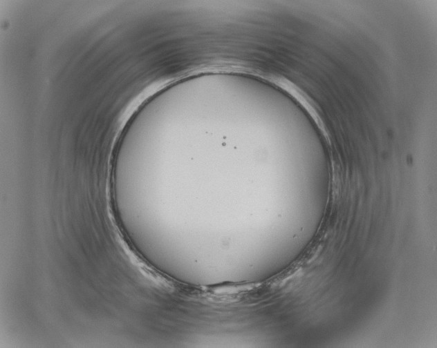 X0000060550861200511241223