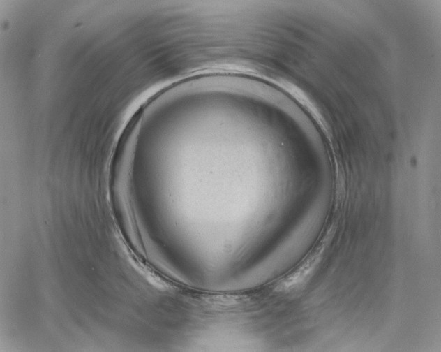 X0000060550862200511241223