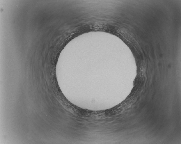 X0000060550865200511241223