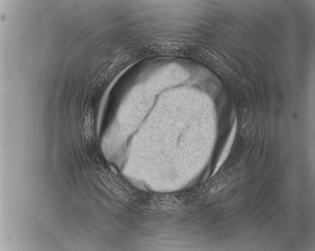 X0000060550866200511241223