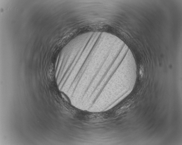 X0000060550867200511241223