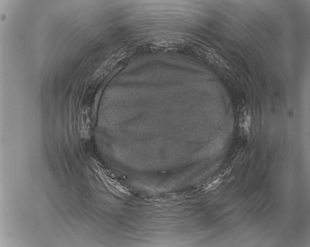 X0000060550868200511241223