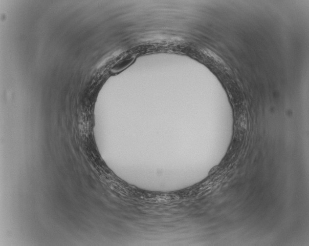 X0000060550869200511241223