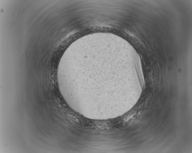 X0000060550870200511241223