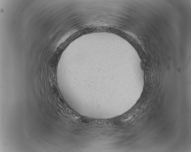 X0000060550871200511241223