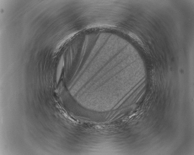 X0000060550872200511241223