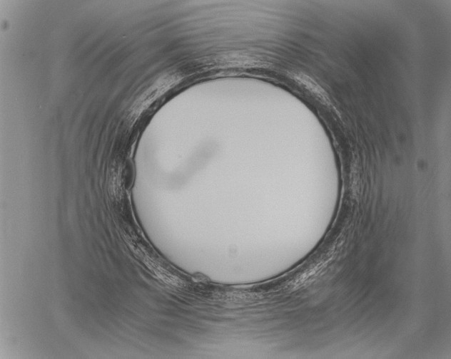 X0000060550873200511241223