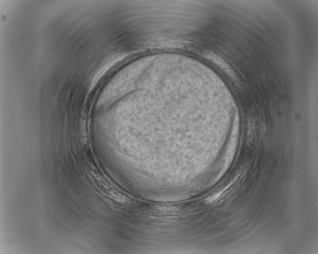 X0000060550878200511241222