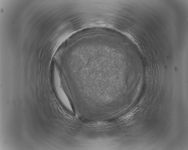 X0000060550879200511241222