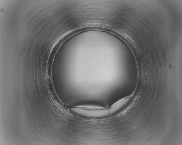 X0000060550880200511241222