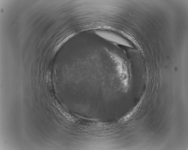 X0000060550881200511241222