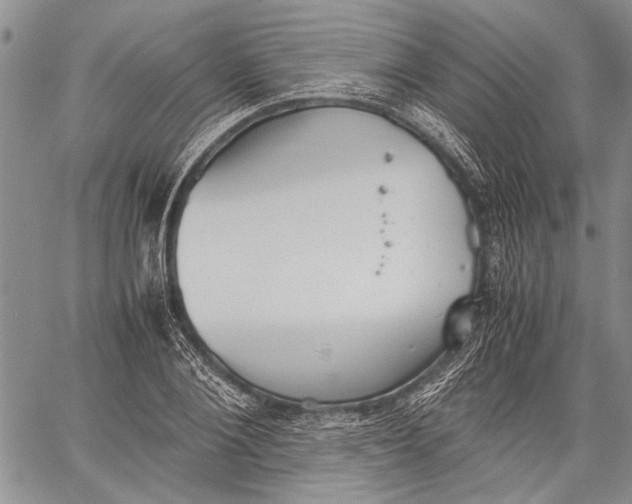 X0000060550884200511241222