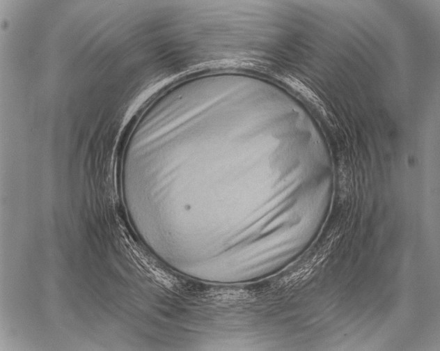 X0000060550886200511241222