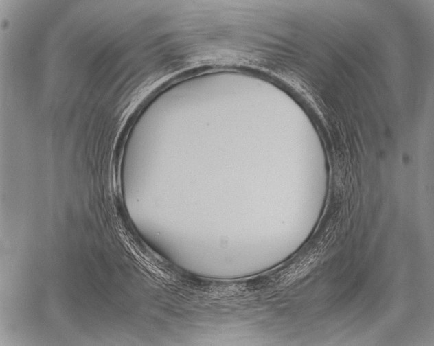 X0000060550887200511241222