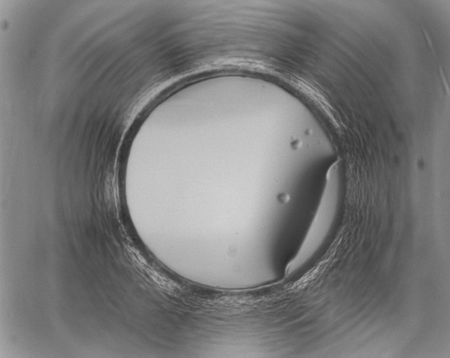 X0000060550888200511241222