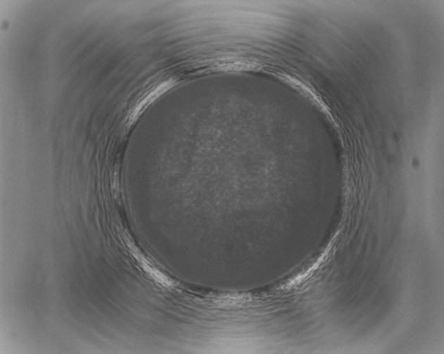 X0000060550889200511241222