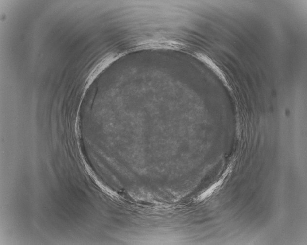 X0000060550893200511241222