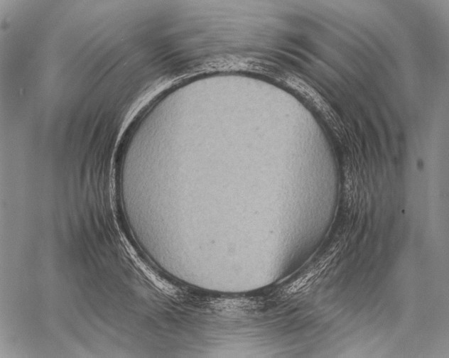 X0000060550894200511241222