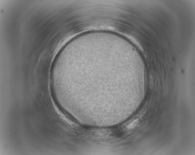 X0000060550895200511241222