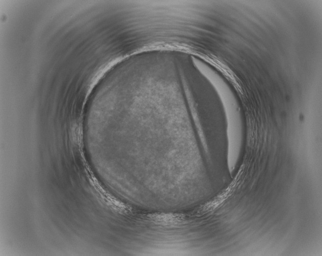 X0000060550896200511241222