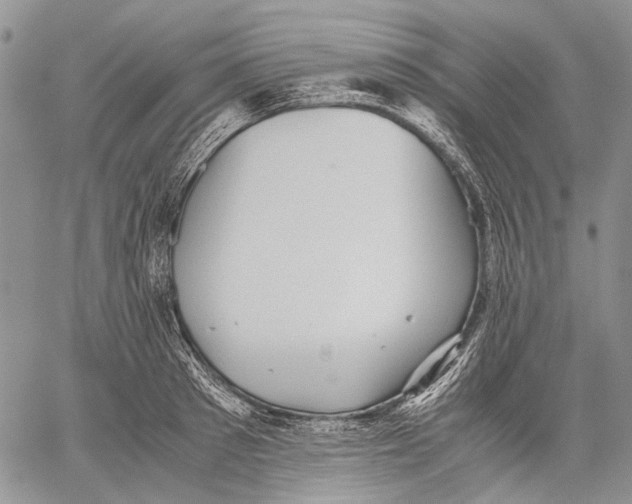 X0000060550897200511241222