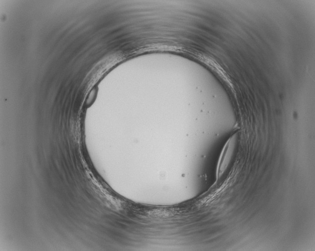 X0000060550898200511241222