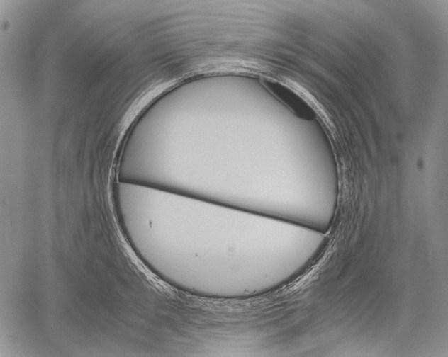 X0000060550901200511241222