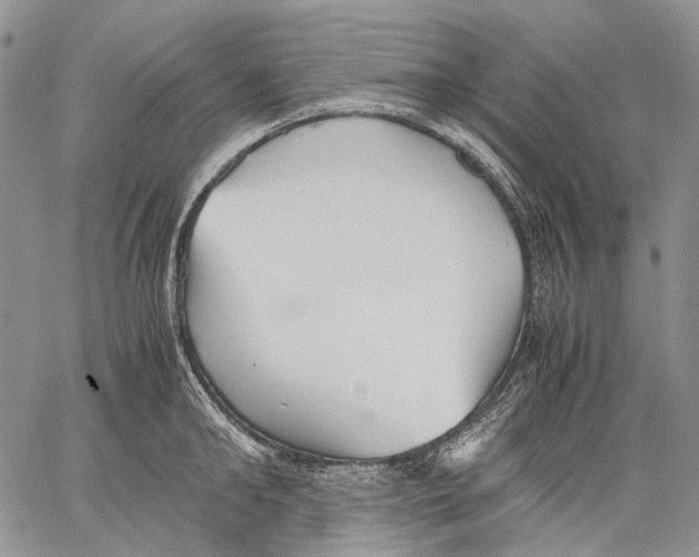 X0000060550902200511241222