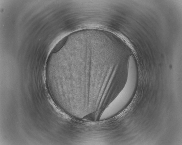 X0000060550904200511241222