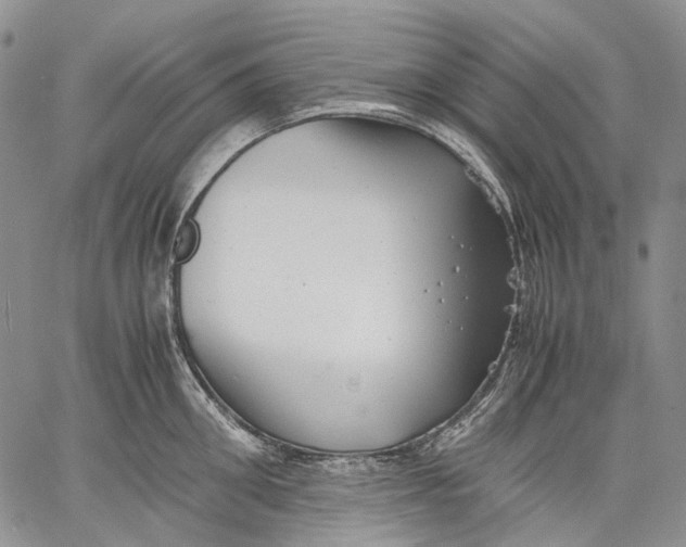 X0000060550906200511241222