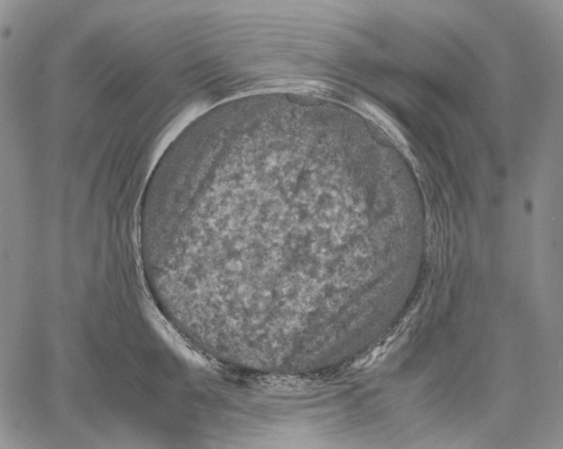 X0000060550907200511241222