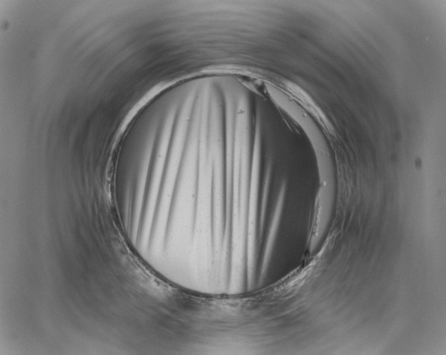 X0000060550908200511241222