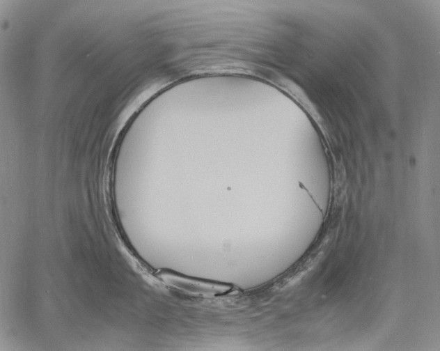 X0000060550909200511241222