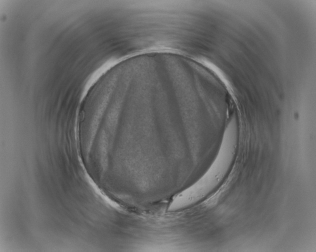 X0000060550910200511241222