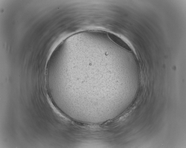 X0000060550911200511241222