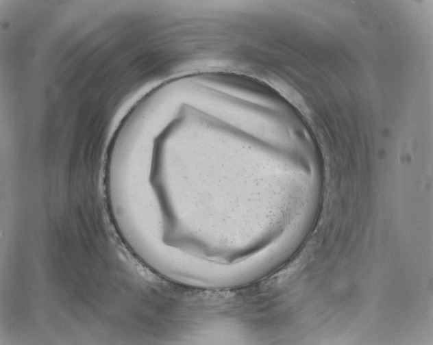 X0000060550912200511241222