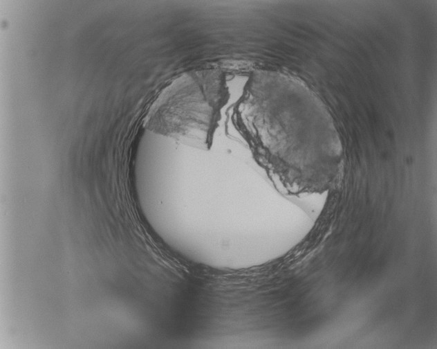 X0000060550913200511241221