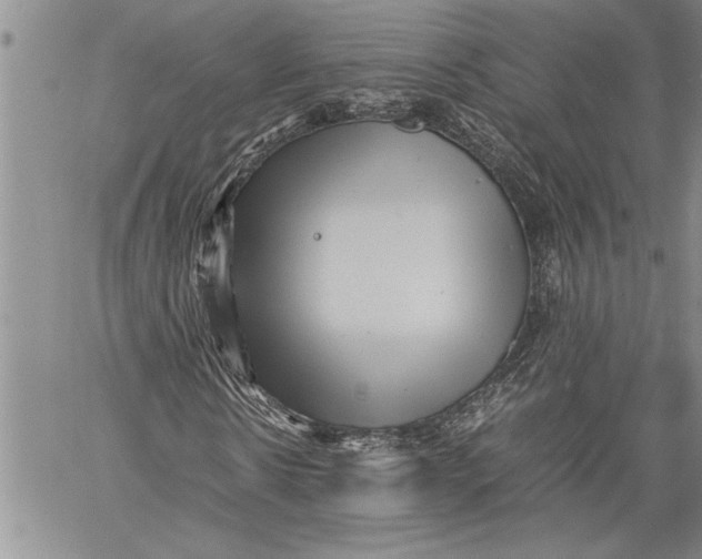 X0000060550914200511241221