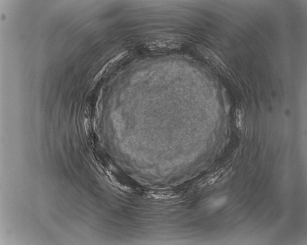 X0000060550915200511241221