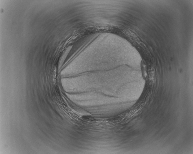 X0000060550916200511241221