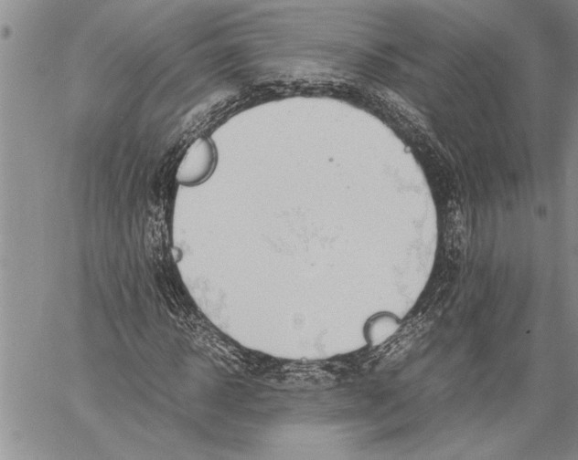 X0000060550918200511241221