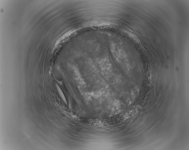 X0000060550920200511241221